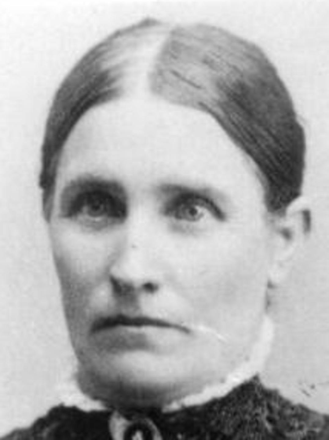 Tamar Stokes (1849 - 1938) Profile